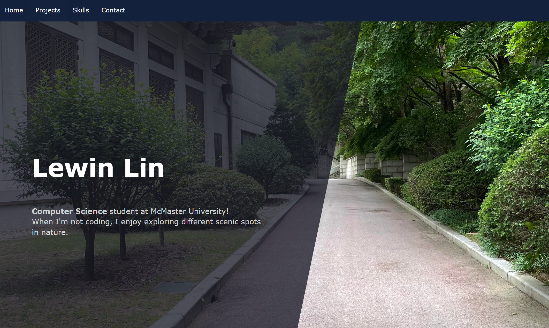 Website Picture